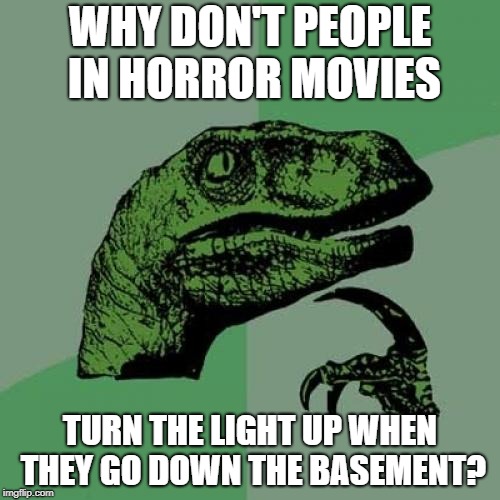 Philosoraptor Meme | WHY DON'T PEOPLE IN HORROR MOVIES; TURN THE LIGHT UP WHEN THEY GO DOWN THE BASEMENT? | image tagged in memes,philosoraptor | made w/ Imgflip meme maker