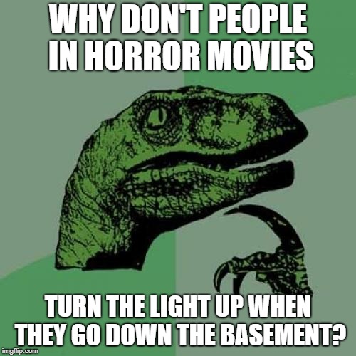 Philosoraptor | WHY DON'T PEOPLE IN HORROR MOVIES; TURN THE LIGHT UP WHEN THEY GO DOWN THE BASEMENT? | image tagged in memes,philosoraptor | made w/ Imgflip meme maker