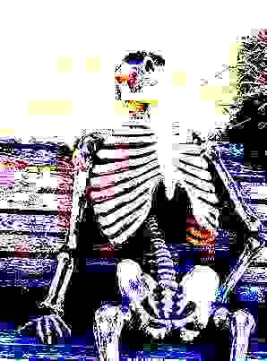 High Quality DEEP FRIED SKELETON Blank Meme Template