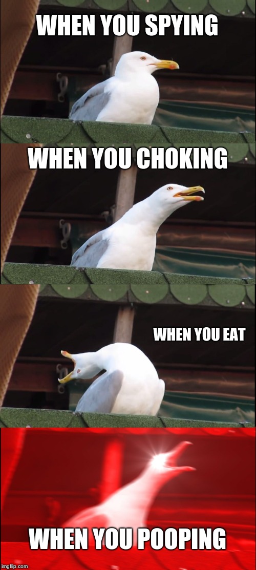 Inhaling Seagull Meme | WHEN YOU SPYING; WHEN YOU CHOKING; WHEN YOU EAT; WHEN YOU POOPING | image tagged in memes,inhaling seagull | made w/ Imgflip meme maker