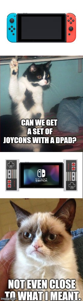 CAN WE GET A SET OF JOYCONS WITH A DPAD? NOT EVEN CLOSE TO WHAT I MEANT. | made w/ Imgflip meme maker