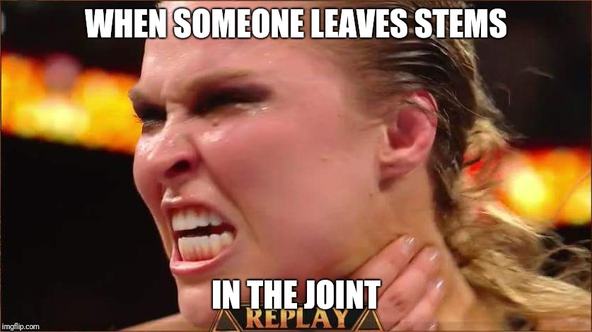 WHEN SOMEONE LEAVES STEMS; IN THE JOINT | image tagged in rousey choke | made w/ Imgflip meme maker