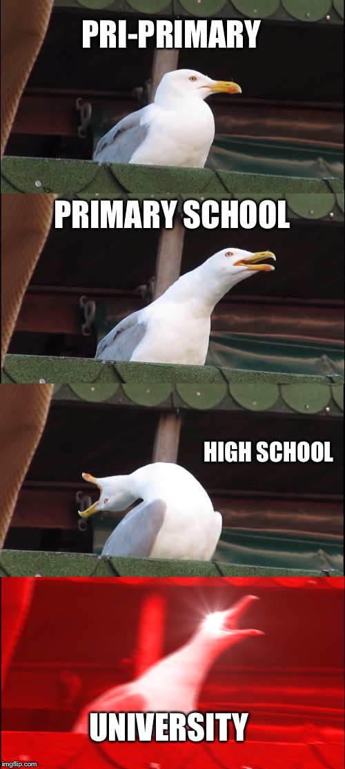 Inhaling Seagull | PRI-PRIMARY; PRIMARY SCHOOL; HIGH SCHOOL; UNIVERSITY | image tagged in memes,inhaling seagull | made w/ Imgflip meme maker