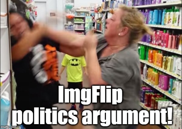 Cat fight | ImgFlip politics argument! | image tagged in cat fight | made w/ Imgflip meme maker