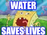 WATER; SAVES LIVES | image tagged in water | made w/ Imgflip meme maker