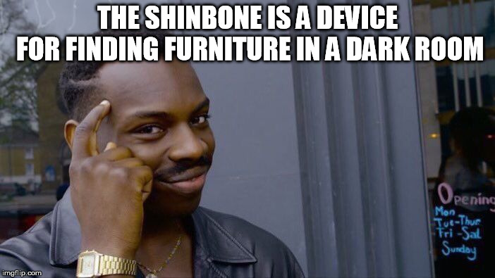 Roll Safe Think About It | THE SHINBONE IS A DEVICE FOR FINDING FURNITURE IN A DARK ROOM | image tagged in memes,roll safe think about it | made w/ Imgflip meme maker