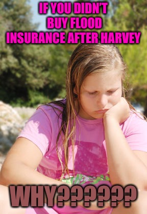 In The Crapper | IF YOU DIDN’T BUY FLOOD INSURANCE AFTER HARVEY; WHY?????? | image tagged in flood insurance,crap,flood,hurricane harvey,safety first,safety | made w/ Imgflip meme maker