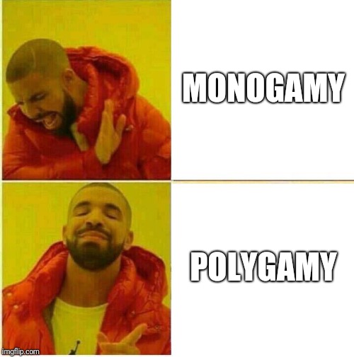 Drake Hotline approves | MONOGAMY; POLYGAMY | image tagged in drake hotline approves | made w/ Imgflip meme maker