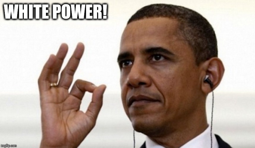 When you try to throw your support behind the Clinton Crime Family, but it all goes wrong | WHITE POWER! | image tagged in memes,obama,white power gesture | made w/ Imgflip meme maker