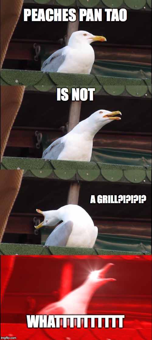 Inhaling Seagull Meme | PEACHES PAN TAO; IS NOT; A GRILL?!?!?!? WHATTTTTTTTTT | image tagged in memes,hoth777 | made w/ Imgflip meme maker