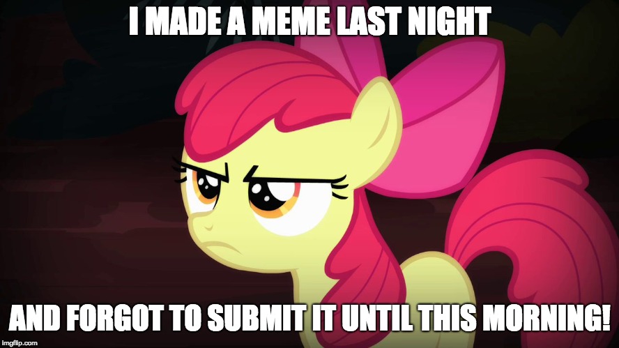 Why? | I MADE A MEME LAST NIGHT; AND FORGOT TO SUBMIT IT UNTIL THIS MORNING! | image tagged in angry applebloom,memes,xanderbrony,submissions | made w/ Imgflip meme maker