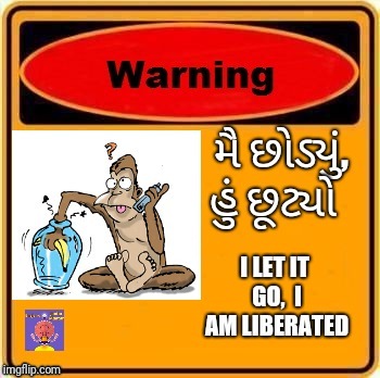 Let go get liberated | image tagged in let it go,freedom | made w/ Imgflip meme maker
