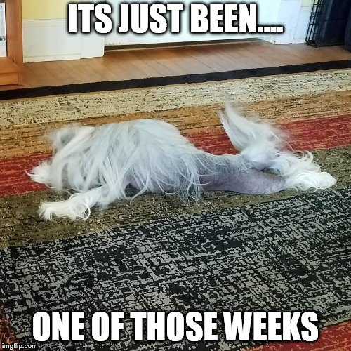 ITS JUST BEEN.... ONE OF THOSE WEEKS | image tagged in china | made w/ Imgflip meme maker
