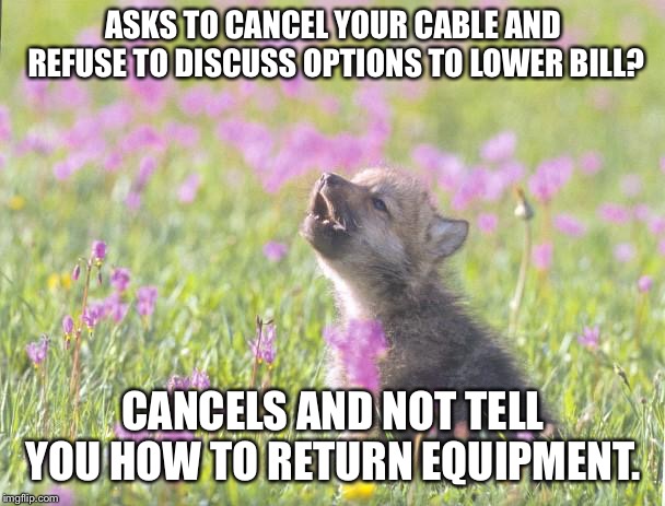 Baby Insanity Wolf Meme | ASKS TO CANCEL YOUR CABLE AND REFUSE TO DISCUSS OPTIONS TO LOWER BILL? CANCELS AND NOT TELL YOU HOW TO RETURN EQUIPMENT. | image tagged in memes,baby insanity wolf | made w/ Imgflip meme maker