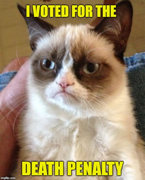 Grumpy Cat Meme | I VOTED FOR THE DEATH PENALTY | image tagged in memes,grumpy cat | made w/ Imgflip meme maker