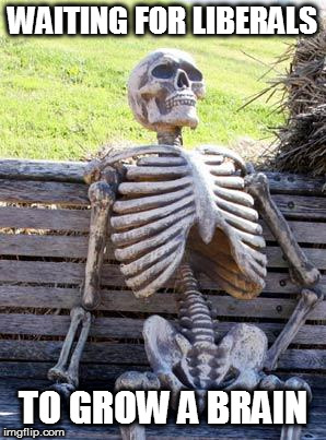 Waiting Skeleton Meme | WAITING FOR LIBERALS TO GROW A BRAIN | image tagged in memes,waiting skeleton | made w/ Imgflip meme maker