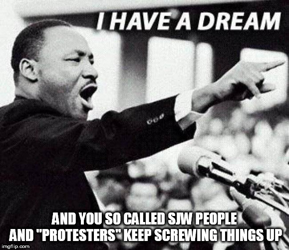 Whining, tantrums, breaking laws, etc. will NOT get positive end results | AND YOU SO CALLED SJW PEOPLE AND "PROTESTERS" KEEP SCREWING THINGS UP | image tagged in mlk jr,social justice warriors,protesters | made w/ Imgflip meme maker