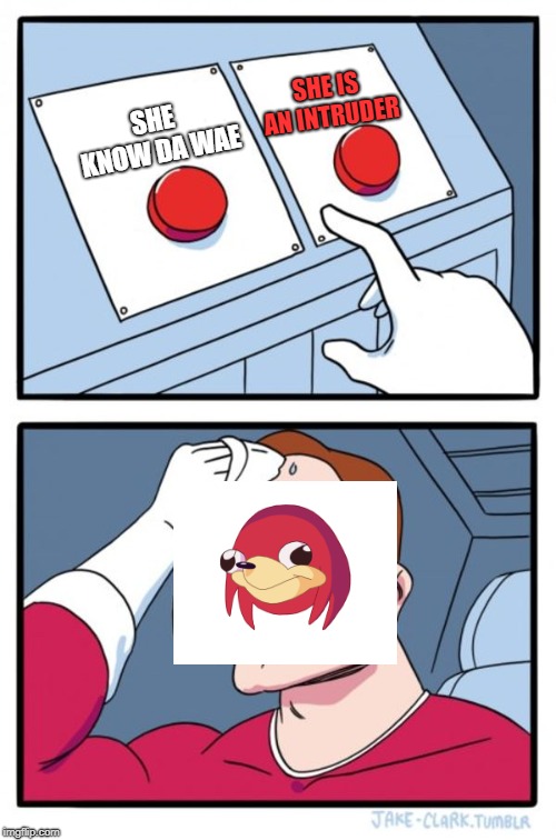 Two Buttons | SHE IS AN INTRUDER; SHE KNOW DA WAE | image tagged in memes,two buttons | made w/ Imgflip meme maker