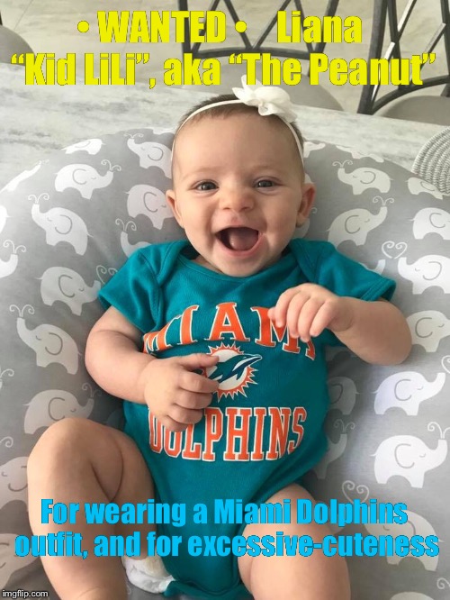 Kid LiLi | • WANTED •   
Liana “Kid LiLi”, aka “The Peanut”; For wearing a Miami Dolphins outfit, and for excessive-cuteness | image tagged in funny meme | made w/ Imgflip meme maker