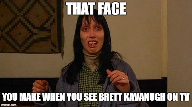 Panick & Freak Out | THAT FACE; YOU MAKE WHEN YOU SEE BRETT KAVANUGH ON TV | image tagged in panick  freak out | made w/ Imgflip meme maker
