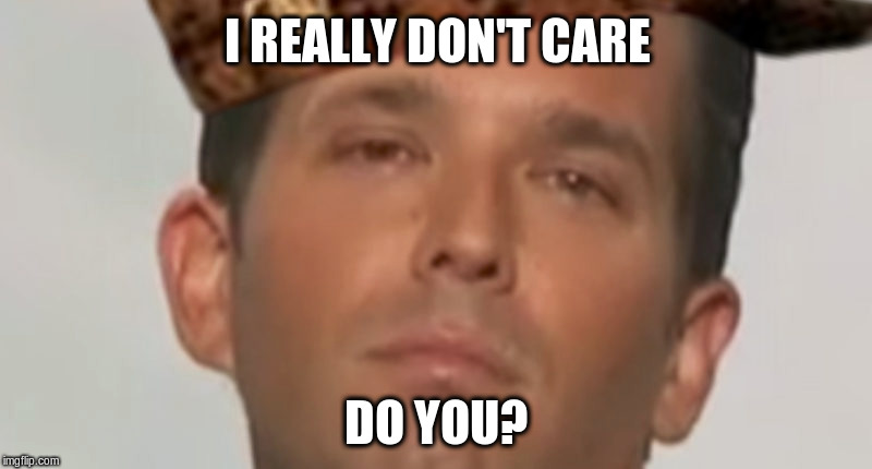 I REALLY DON'T CARE; DO YOU? | image tagged in half-scoop,trump jr,don't care | made w/ Imgflip meme maker