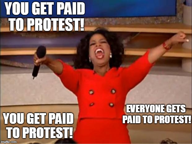 Well, the jobless liberals who owe mommy and daddy rent for living in the basement at least. | YOU GET PAID TO PROTEST! EVERYONE GETS PAID TO PROTEST! YOU GET PAID TO PROTEST! | image tagged in memes,oprah you get a | made w/ Imgflip meme maker