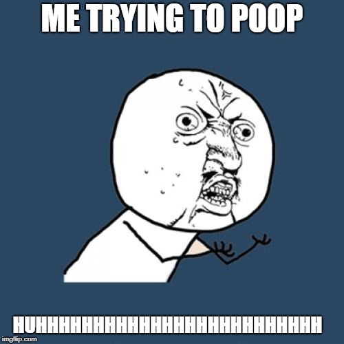 Y U No Meme | ME TRYING TO POOP; HUHHHHHHHHHHHHHHHHHHHHHHHHH | image tagged in memes,y u no | made w/ Imgflip meme maker