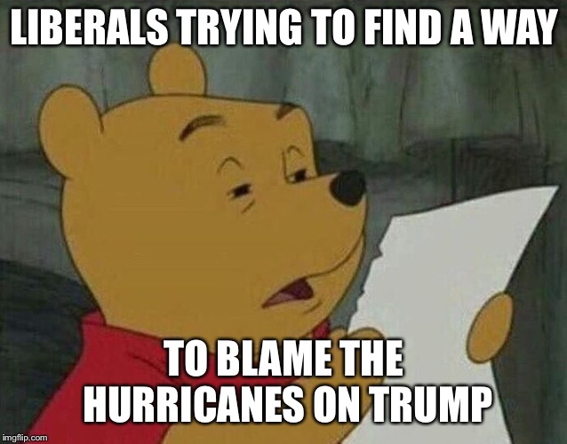 LIBERALS TRYING TO FIND A WAY; TO BLAME THE HURRICANES ON TRUMP | image tagged in memes,donald trump | made w/ Imgflip meme maker