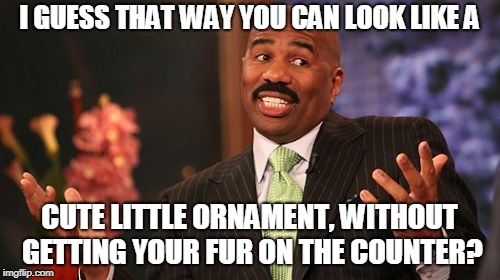 Steve Harvey Meme | I GUESS THAT WAY YOU CAN LOOK LIKE A CUTE LITTLE ORNAMENT, WITHOUT GETTING YOUR FUR ON THE COUNTER? | image tagged in memes,steve harvey | made w/ Imgflip meme maker