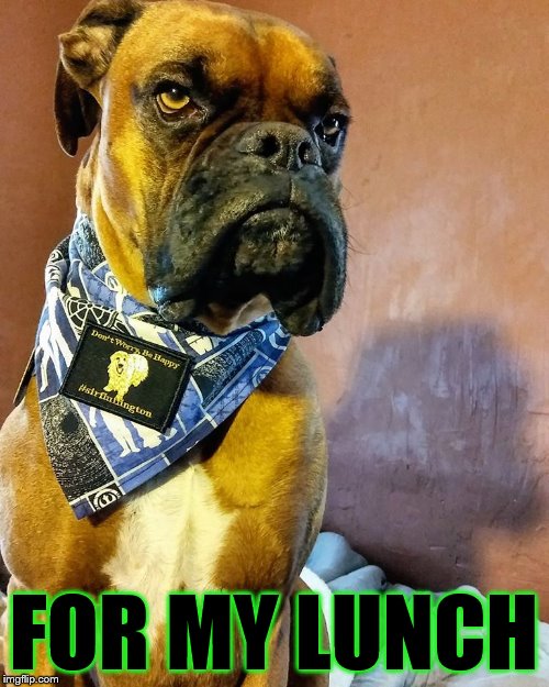 Grumpy Dog | FOR MY LUNCH | image tagged in grumpy dog | made w/ Imgflip meme maker