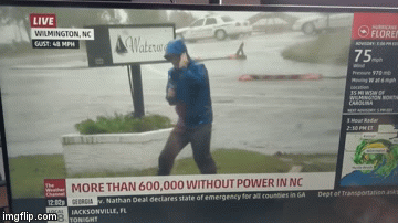 Reporter Pretends To Struggle With Wind