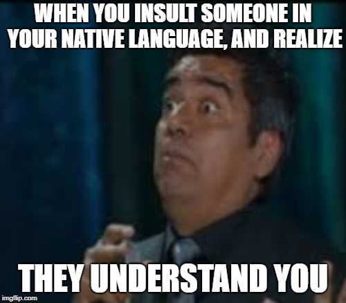 When you insult someone in your native language... | WHEN YOU INSULT SOMEONE IN YOUR NATIVE LANGUAGE, AND REALIZE; THEY UNDERSTAND YOU | image tagged in memes | made w/ Imgflip meme maker