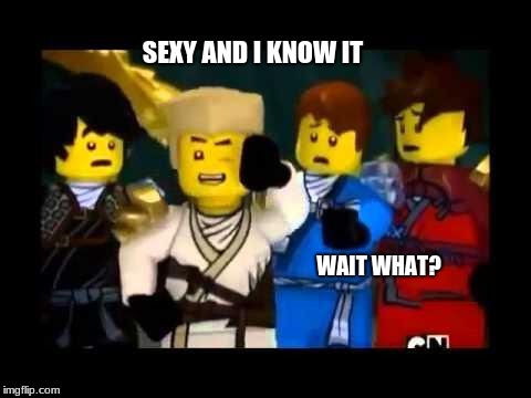 Ninjago Wut | SEXY AND I KNOW IT; WAIT WHAT? | image tagged in ninjago wut | made w/ Imgflip meme maker