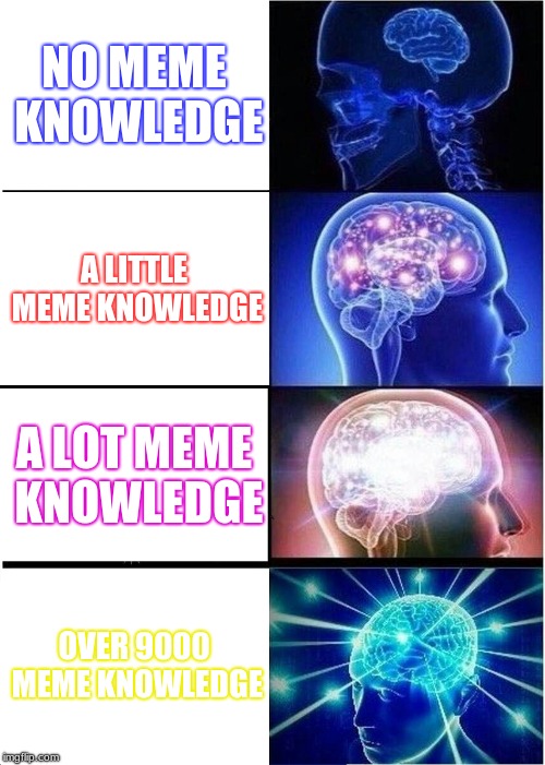 Expanding Brain Meme | NO MEME KNOWLEDGE; A LITTLE MEME KNOWLEDGE; A LOT MEME KNOWLEDGE; OVER 9000 MEME KNOWLEDGE | image tagged in memes,expanding brain | made w/ Imgflip meme maker