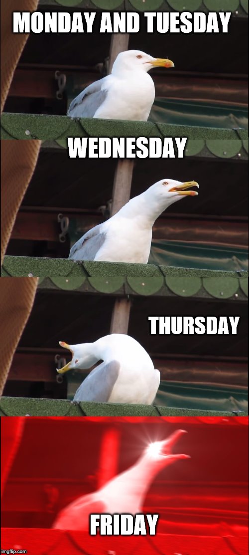 Inhaling Seagull Meme | MONDAY AND TUESDAY; WEDNESDAY; THURSDAY; FRIDAY | image tagged in memes,inhaling seagull | made w/ Imgflip meme maker