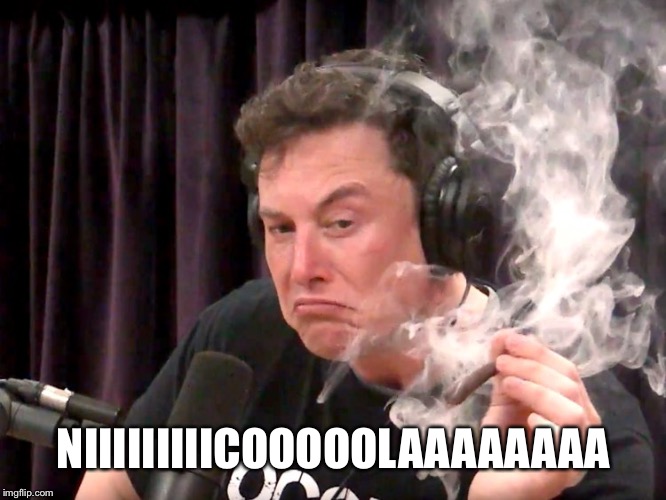 Elon Musk Weed | NIIIIIIIIICOOOOOLAAAAAAAA | image tagged in elon musk weed | made w/ Imgflip meme maker