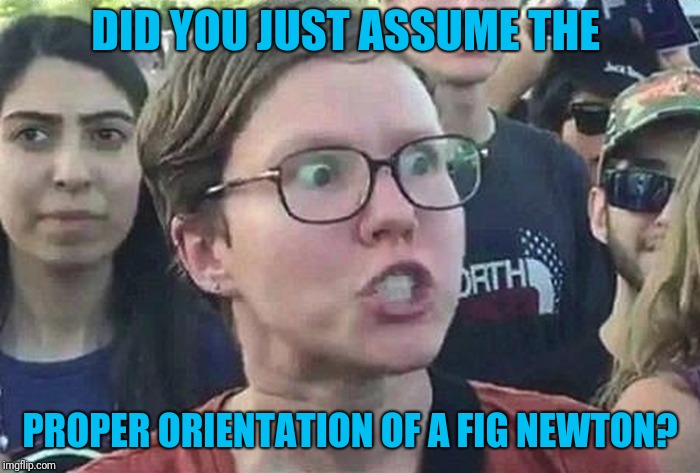 Triggered Liberal | DID YOU JUST ASSUME THE PROPER ORIENTATION OF A FIG NEWTON? | image tagged in triggered liberal | made w/ Imgflip meme maker