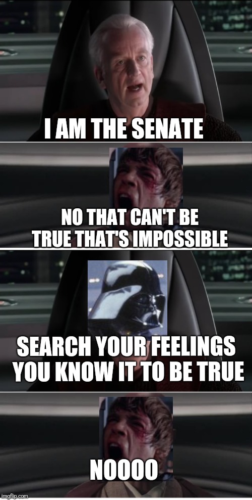 Star wars | I AM THE SENATE; NO THAT CAN'T BE TRUE THAT'S IMPOSSIBLE; SEARCH YOUR FEELINGS YOU KNOW IT TO BE TRUE; NOOOO | image tagged in star wars | made w/ Imgflip meme maker