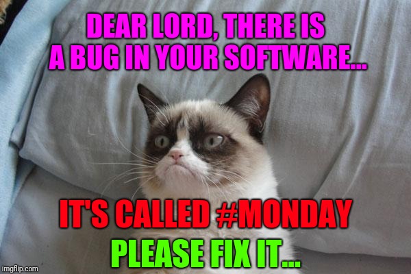 Not a Monday person | DEAR LORD, THERE IS A BUG IN YOUR SOFTWARE... IT'S CALLED #MONDAY; PLEASE FIX IT... | image tagged in memes,grumpy cat bed,grumpy cat,i hate mondays,monday mornings | made w/ Imgflip meme maker