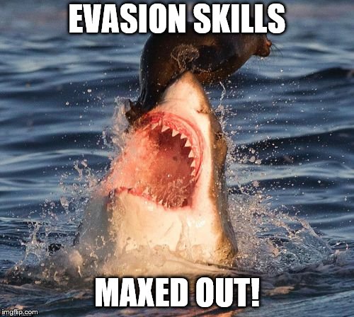 Travelonshark | EVASION SKILLS; MAXED OUT! | image tagged in memes,travelonshark | made w/ Imgflip meme maker