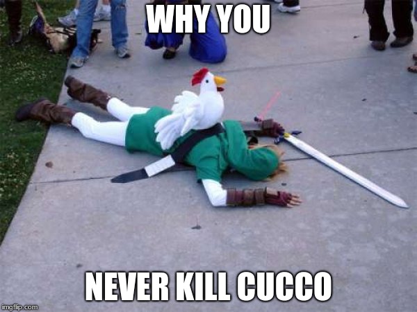 Zelda Chicken | WHY YOU; NEVER KILL CUCCO | image tagged in zelda chicken | made w/ Imgflip meme maker