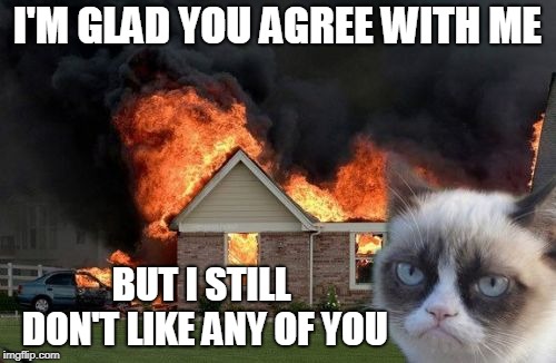 Burn Kitty Meme | I'M GLAD YOU AGREE WITH ME BUT I STILL DON'T LIKE ANY OF YOU | image tagged in memes,burn kitty,grumpy cat | made w/ Imgflip meme maker