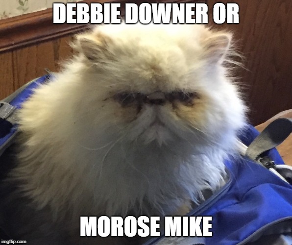 Debbie Downer and Morose Mike | DEBBIE DOWNER OR; MOROSE MIKE | image tagged in tillie | made w/ Imgflip meme maker