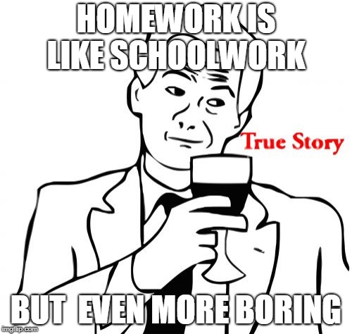 True Story | HOMEWORK IS LIKE SCHOOLWORK; BUT  EVEN MORE BORING | image tagged in memes,true story | made w/ Imgflip meme maker