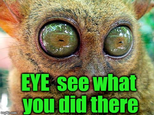 big eyes | EYE  see what you did there | image tagged in big eyes | made w/ Imgflip meme maker