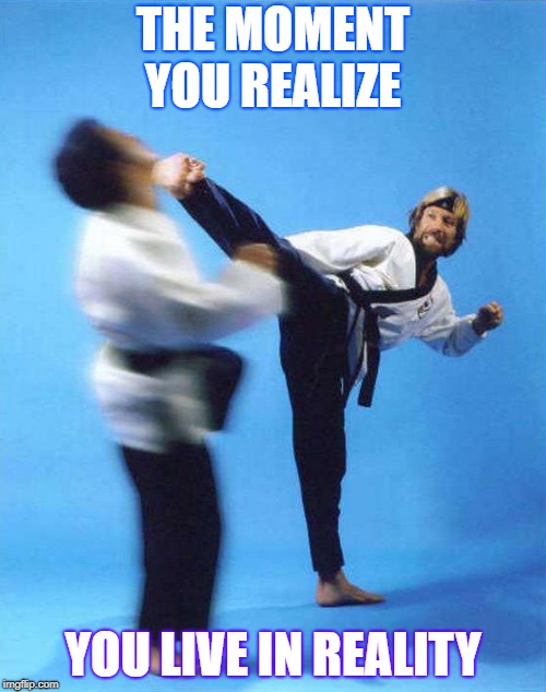 Roundhouse Kick Chuck Norris | THE MOMENT YOU REALIZE; YOU LIVE IN REALITY | image tagged in roundhouse kick chuck norris | made w/ Imgflip meme maker