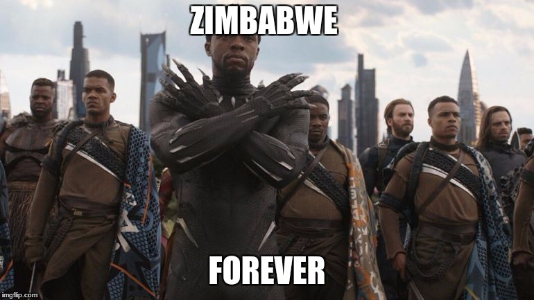 wakanda | ZIMBABWE; FOREVER | image tagged in wakanda | made w/ Imgflip meme maker