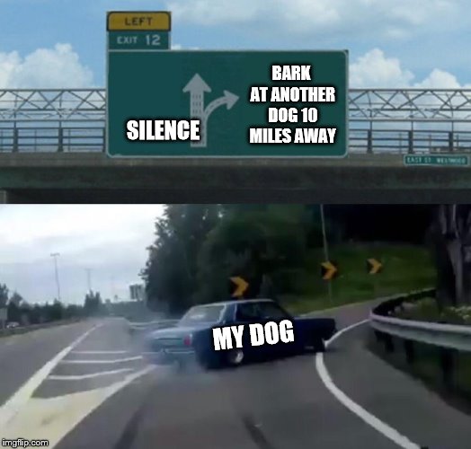 Left Exit 12 Off Ramp Meme | SILENCE BARK AT ANOTHER DOG 10 MILES AWAY MY DOG | image tagged in memes,left exit 12 off ramp | made w/ Imgflip meme maker