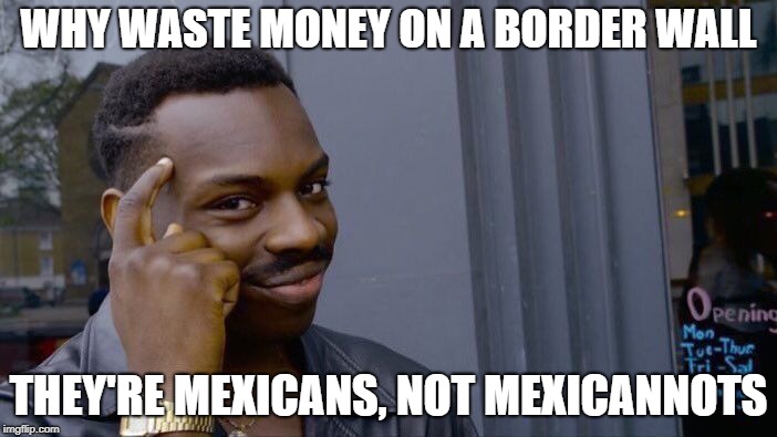 Roll Safe Think About It Meme | WHY WASTE MONEY ON A BORDER WALL; THEY'RE MEXICANS, NOT MEXICANNOTS | image tagged in memes,roll safe think about it | made w/ Imgflip meme maker