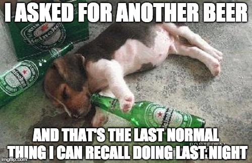 I ASKED FOR ANOTHER BEER; AND THAT'S THE LAST NORMAL THING I CAN RECALL DOING LAST NIGHT | image tagged in skeptical baby | made w/ Imgflip meme maker